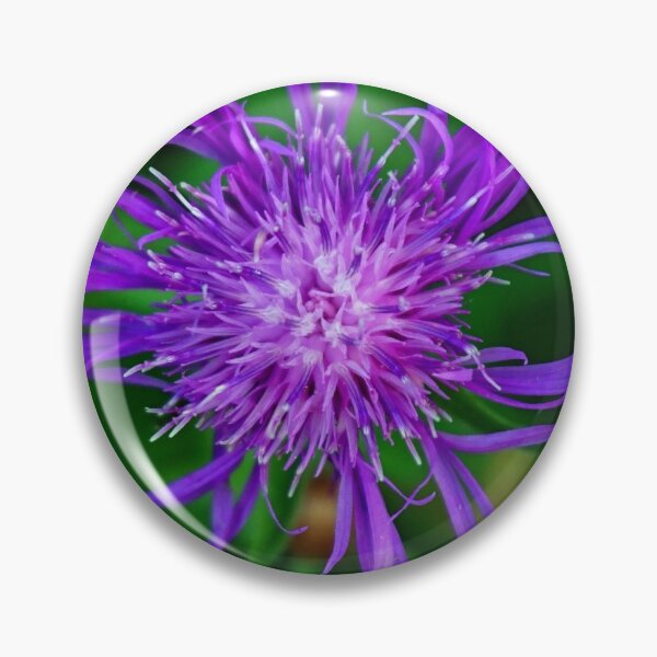 Item preview, Purple cornflower designed and sold by MarionsArt.