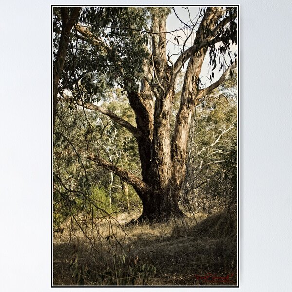 Item preview, At Sunset at the Pinnacle designed and sold by Wolf Sverak Photography.