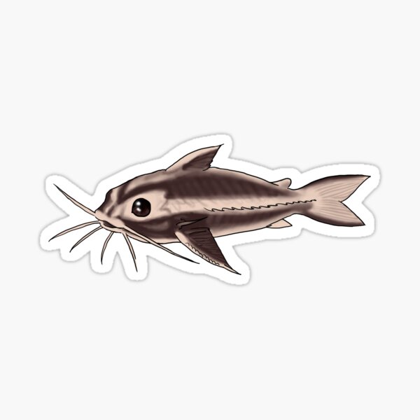 Mean Catfish Cartoon Car Decals & Window Stickers