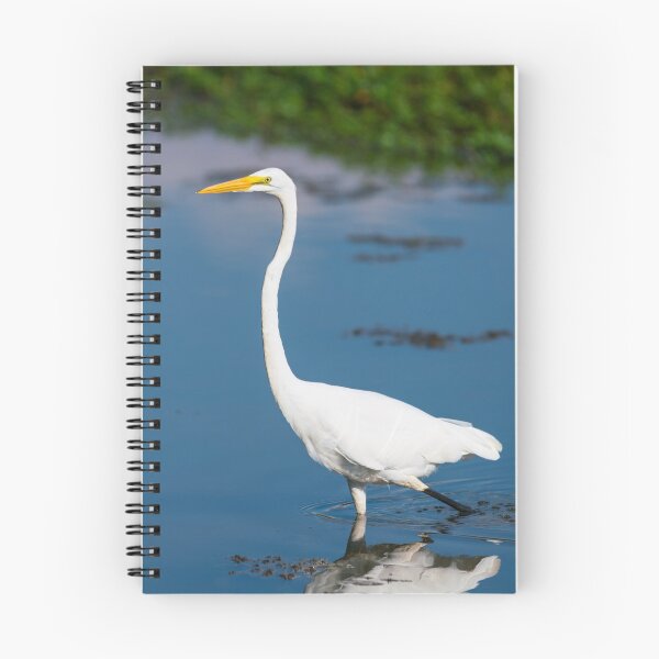 Item preview, Portrait Of Great White Egret designed and sold by mljdwhite.