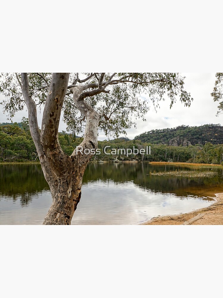 Dunns Swamp, Cudgegong River, Wollemi National Park, NSW by rossacampbell