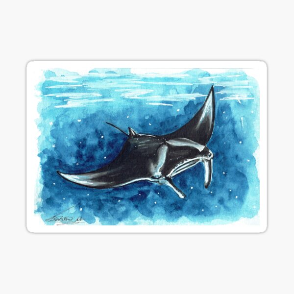 Manta Love Sticker