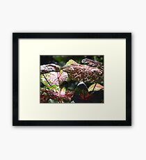 Tropical Plants And Colors - Plantas Y Colores Tropicales Framed Print