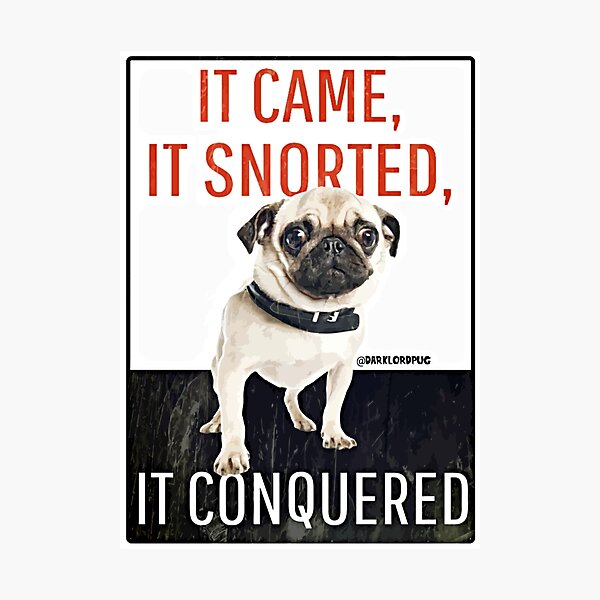 Item preview, Beware of Pug! designed and sold by darklordpug.