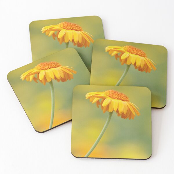 Item preview, Pot Marigold !  designed and sold by jmwilesphotos.