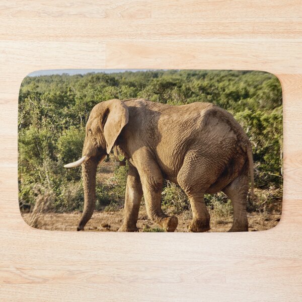 Item preview, Male elephant walking alone  in South Africa designed and sold by Photopat.