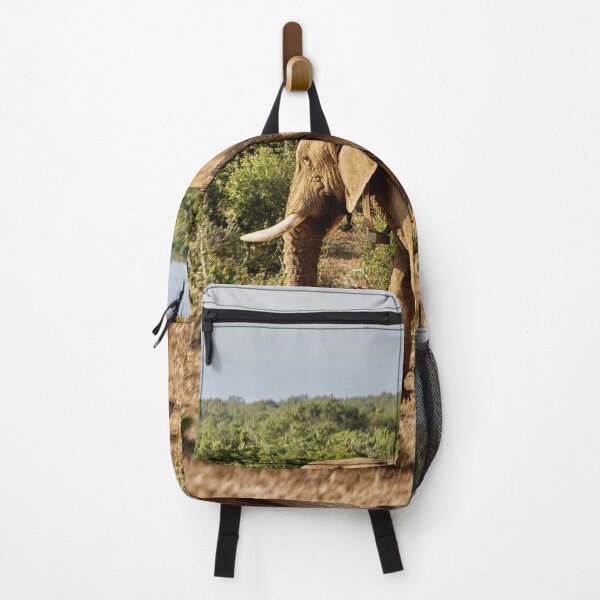 Item preview, Male elephant walking alone in South Africa designed and sold by Photopat.