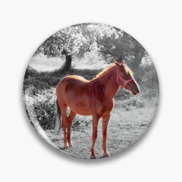 Item preview, Colour Pony black & white background designed and sold by TimmyTours.
