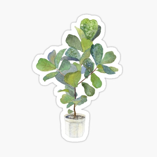 Item preview, Fiddle Leaf Fig designed and sold by Antonina Sotnikova.