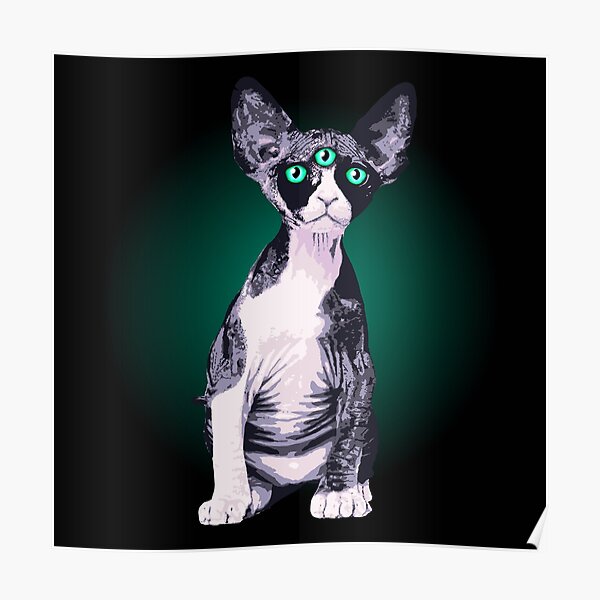 Posters Devon Rex Redbubble