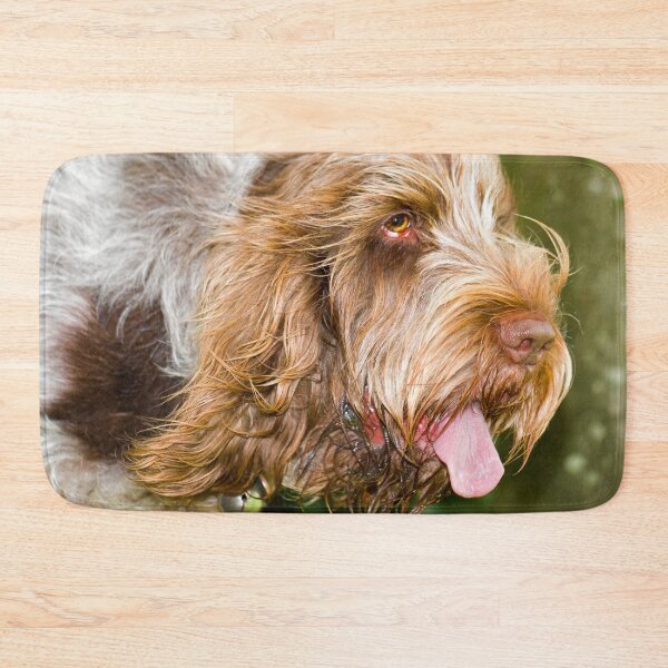 Item preview, Tongue out Spinone designed and sold by FOLK ART FUSION by heidiannemorris.