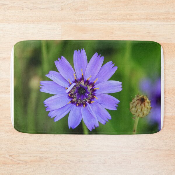Item preview, Catananche Caerulea. designed and sold by John Ray.