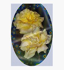 Emblematic yellow roses Photographic Print