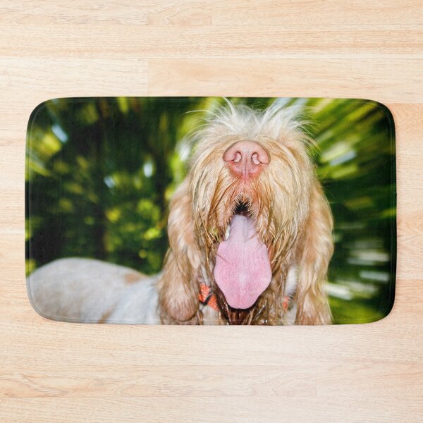 Item preview, Light speed Spinone by heidiannemorris designed and sold by FOLK ART FUSION by heidiannemorris.