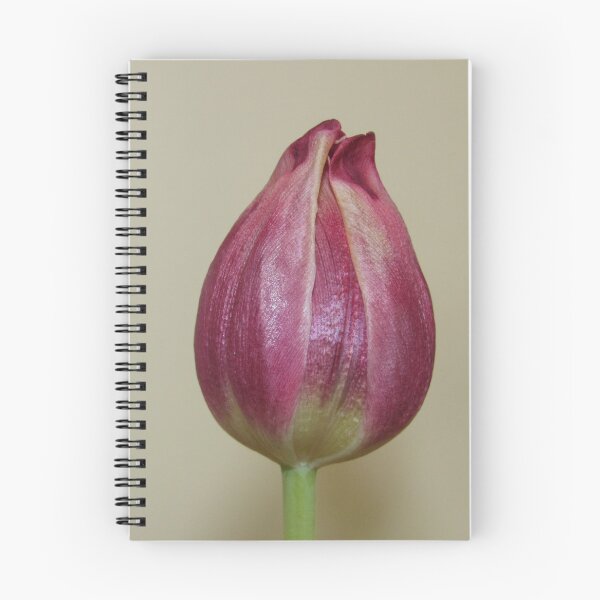 Item preview, Single Pink Tulip designed and sold by WildandDivine.