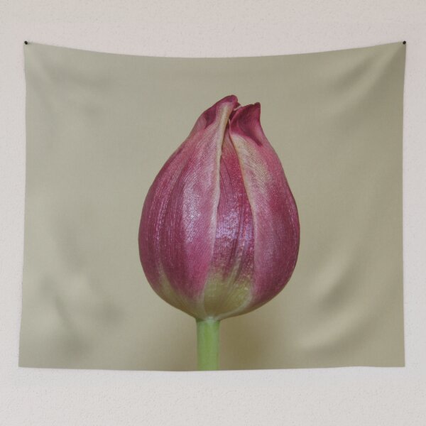 Item preview, Single Pink Tulip designed and sold by WildandDivine.