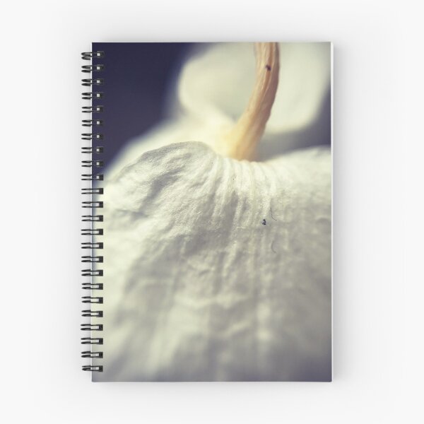Item preview, Antiqued Flower designed and sold by hashtagart.