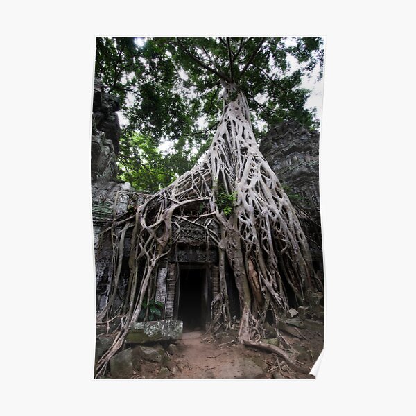 Entangled, Cambodia Poster