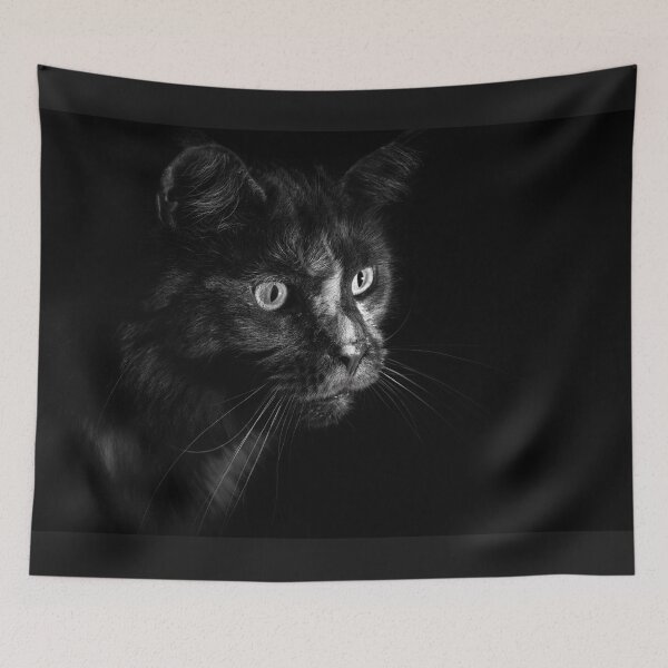 Item preview, Cat in front of black background designed and sold by JokesAndFun.