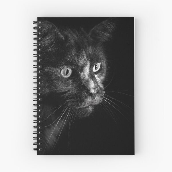 Item preview, Cat in front of black background designed and sold by JokesAndFun.