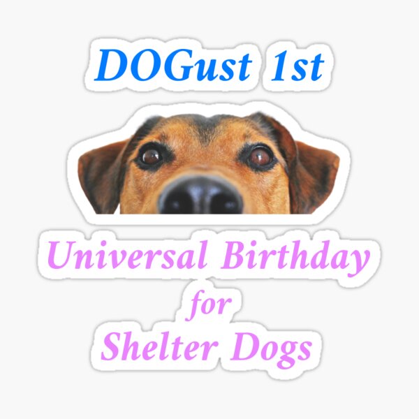 universal shelter dog birthday