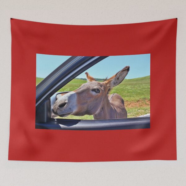Item preview, The Begging Burros designed and sold by Lanis Rossi.