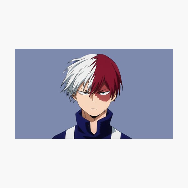 Animal Crossing Todoroki Sticker Set 6 Large 2 Small Photographic Print By Drakken Blue Redbubble