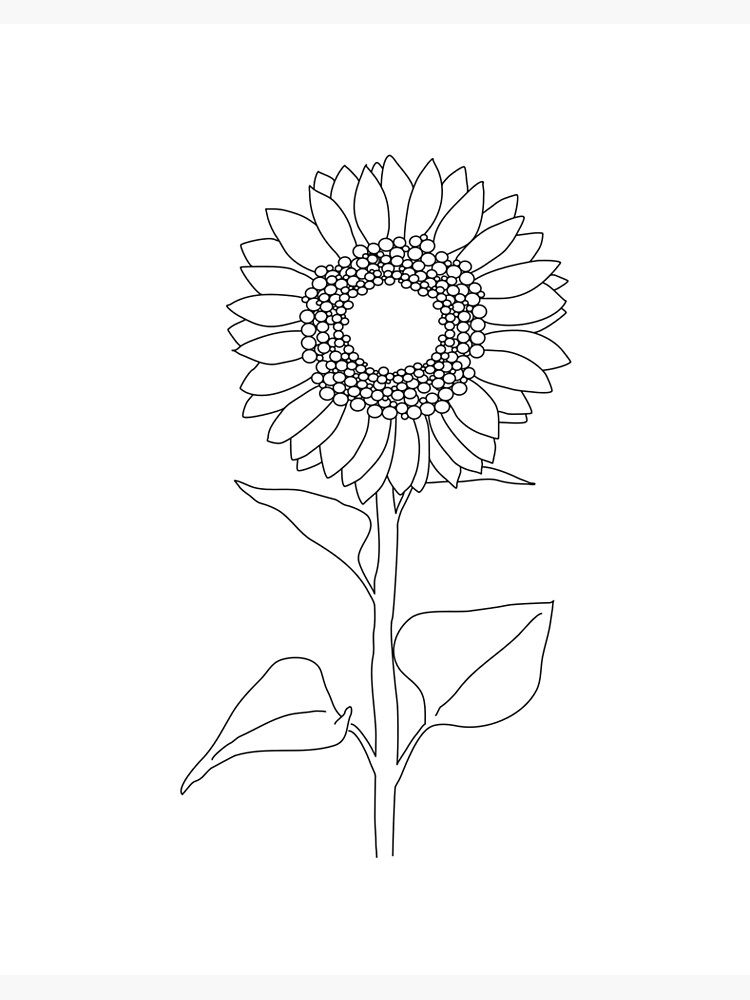 Lámina rígida «Girasol Minimalista en blanco y negro» de SunnyDay5175 |  Redbubble