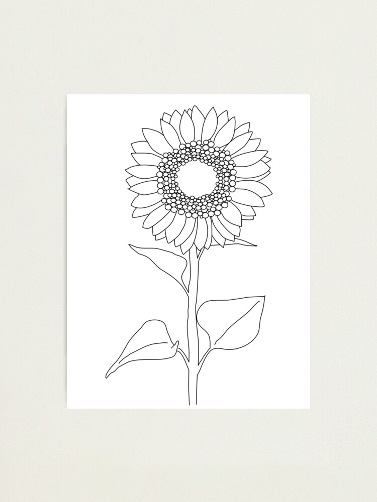 Lámina fotográfica «Girasol Minimalista en blanco y negro» de SunnyDay5175  | Redbubble