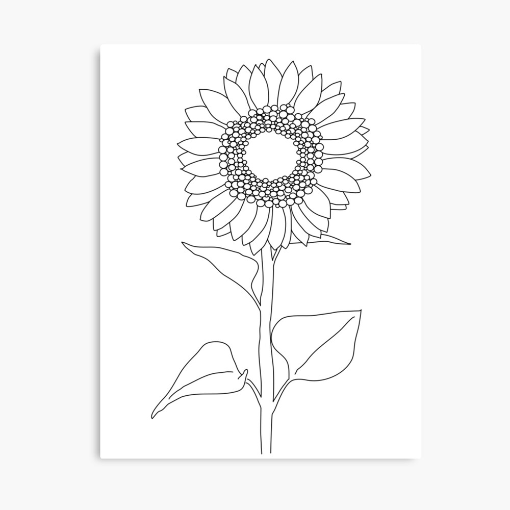 Sunflower Minimalist black and white