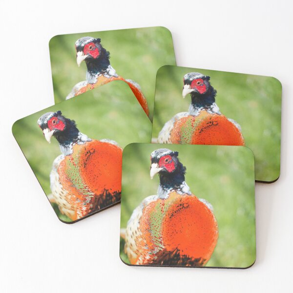 Item preview, The Pleasant Orange Pheasant  designed and sold by FOLK ART FUSION by heidiannemorris.