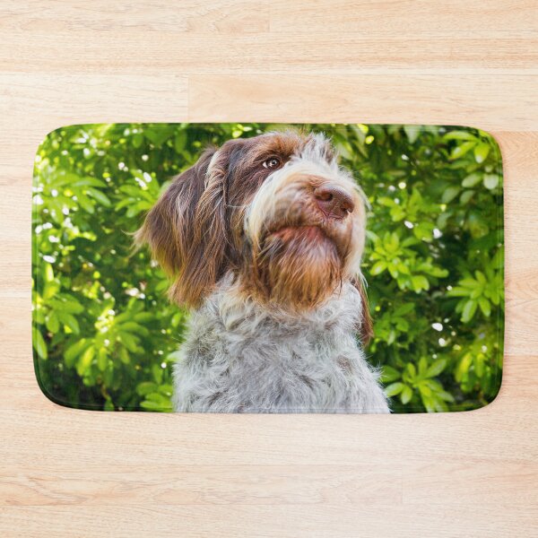 Artikelvorschau, Wie bitte? Spinone von heidiannemorris entworfen und verkauft von FOLK ART FUSION by heidiannemorris.