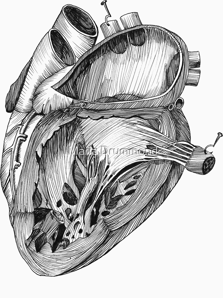 Thumbnail 7 of 7, Essential T-Shirt, Heart designed and sold by MariaDrummond.