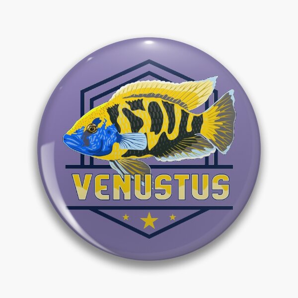 Item preview, Venustus Hap Giraffe Cichlid Lake Malawi Nimbochromis Aquarium Fish Buntbarsch Gift designed and sold by TheAplus.