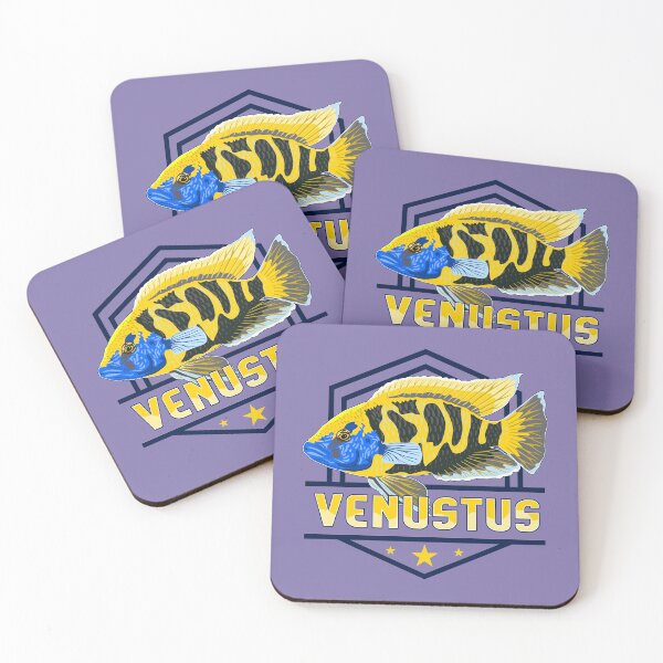 Item preview, Venustus Hap Giraffe Cichlid Lake Malawi Nimbochromis Aquarium Fish Buntbarsch Gift designed and sold by TheAplus.