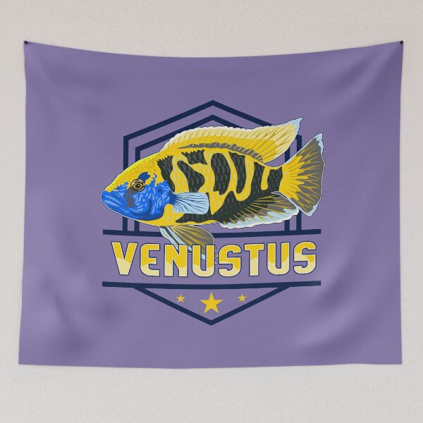 Item preview, Venustus Hap Giraffe Cichlid Lake Malawi Nimbochromis Aquarium Fish Buntbarsch Gift designed and sold by TheAplus.