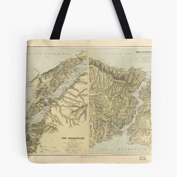 Item preview, The Dardanelles and The Troad The Bosphorus and Constantinople designed and sold by allhistory.