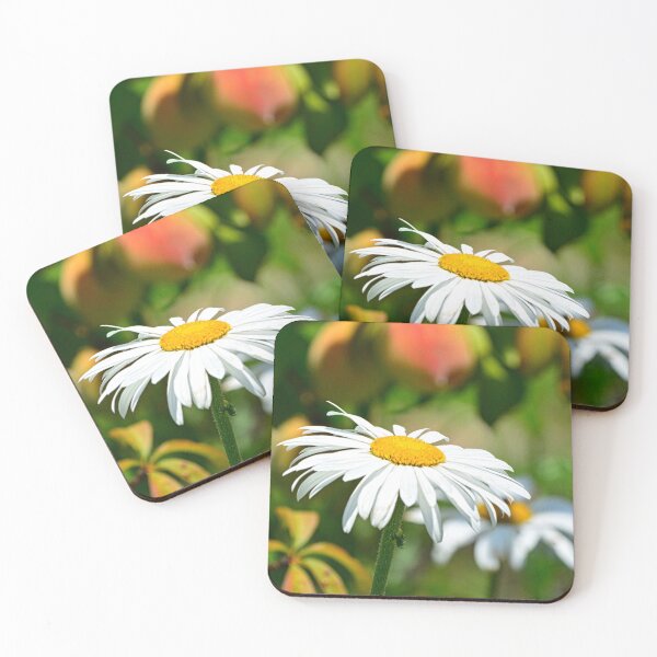 Item preview, Shasta Daisies designed and sold by LisaWootenPhoto.