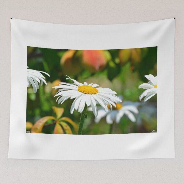 Item preview, Shasta Daisies designed and sold by LisaWootenPhoto.