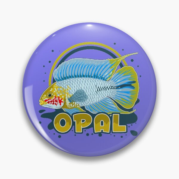 Item preview, Borelli Dwarf Cichlid Apistogramma Opal Aquarium Fish Zwergbuntbarsch Gift designed and sold by TheAplus.