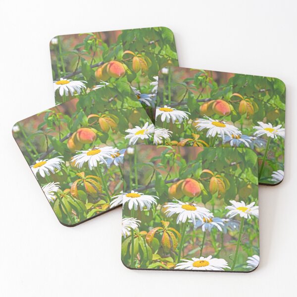 Item preview, Shasta Daisy Garden designed and sold by LisaWootenPhoto.