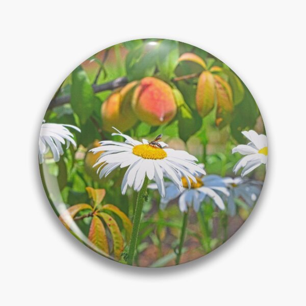 Item preview, Shasta Daisy Garden designed and sold by LisaWootenPhoto.