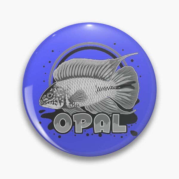 Item preview, Borelli Dwarf Cichlid Apistogramma Opal Aquarium Fish Zwergbuntbarsch Gift b/w designed and sold by TheAplus.