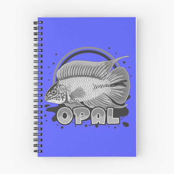 Item preview, Borelli Dwarf Cichlid Apistogramma Opal Aquarium Fish Zwergbuntbarsch Gift b/w designed and sold by TheAplus.