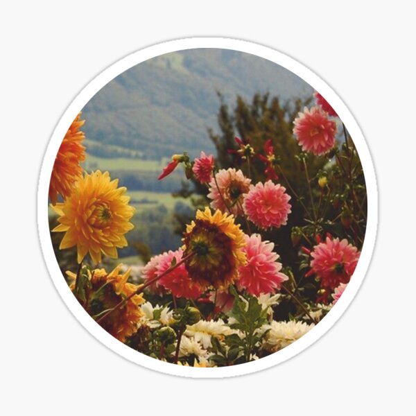 Item preview, Dahlia designed and sold by Erica Keeble.