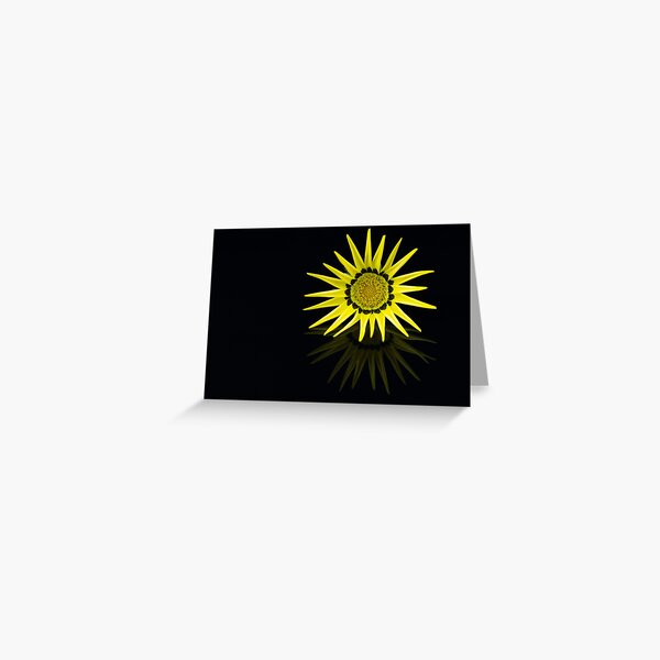 Gazania Sunshine Greeting Card