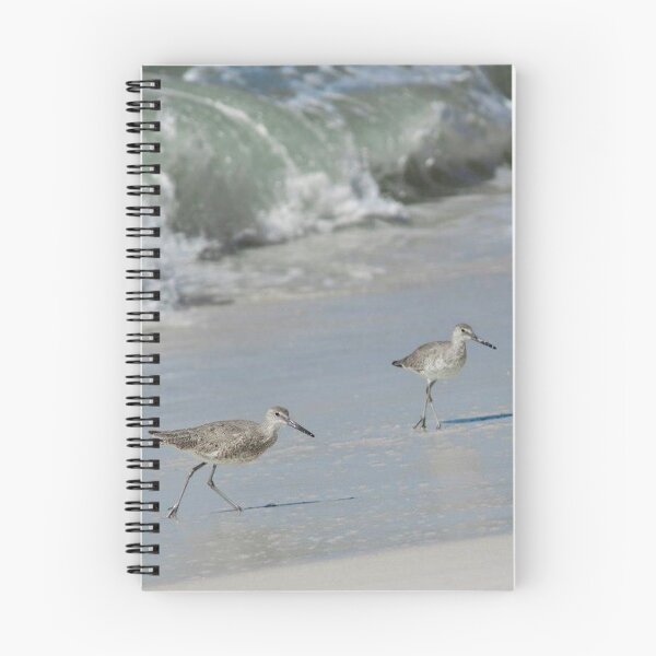 Item preview, Three Willets designed and sold by Jacquelie.