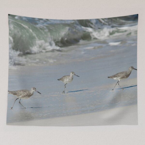Item preview, Three Willets designed and sold by Jacquelie.