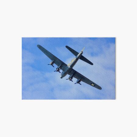 Flying Memorial Art Board Print