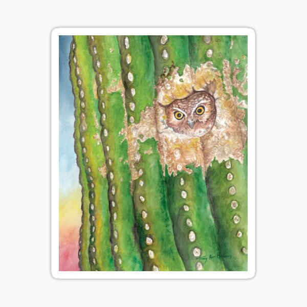Elf Owl in Saguaro, Sonoran Desert Sticker